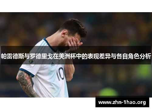 帕雷德斯与罗德里戈在美洲杯中的表现差异与各自角色分析