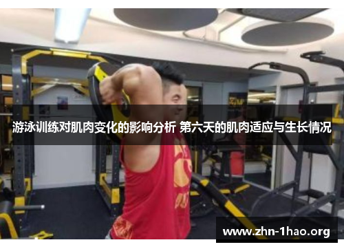 游泳训练对肌肉变化的影响分析 第六天的肌肉适应与生长情况