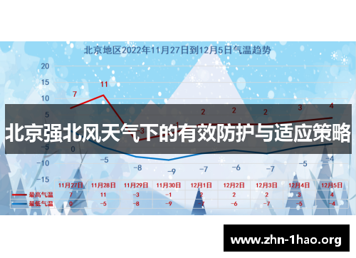 北京强北风天气下的有效防护与适应策略