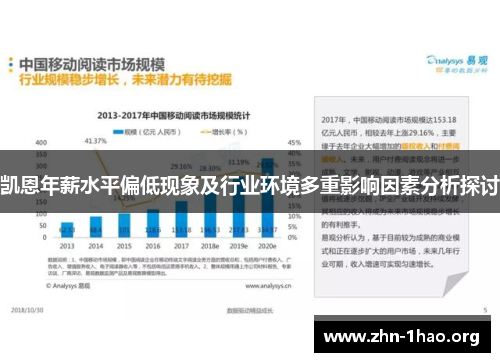 凯恩年薪水平偏低现象及行业环境多重影响因素分析探讨