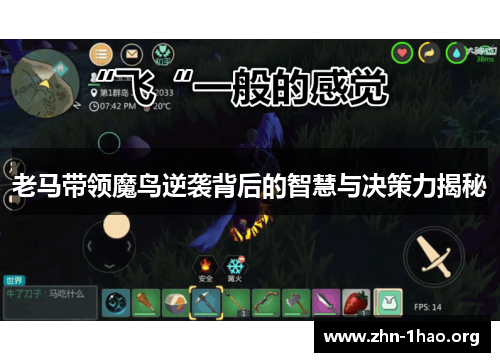老马带领魔鸟逆袭背后的智慧与决策力揭秘
