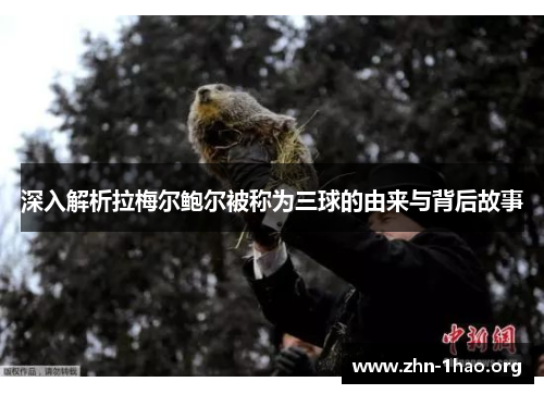 深入解析拉梅尔鲍尔被称为三球的由来与背后故事